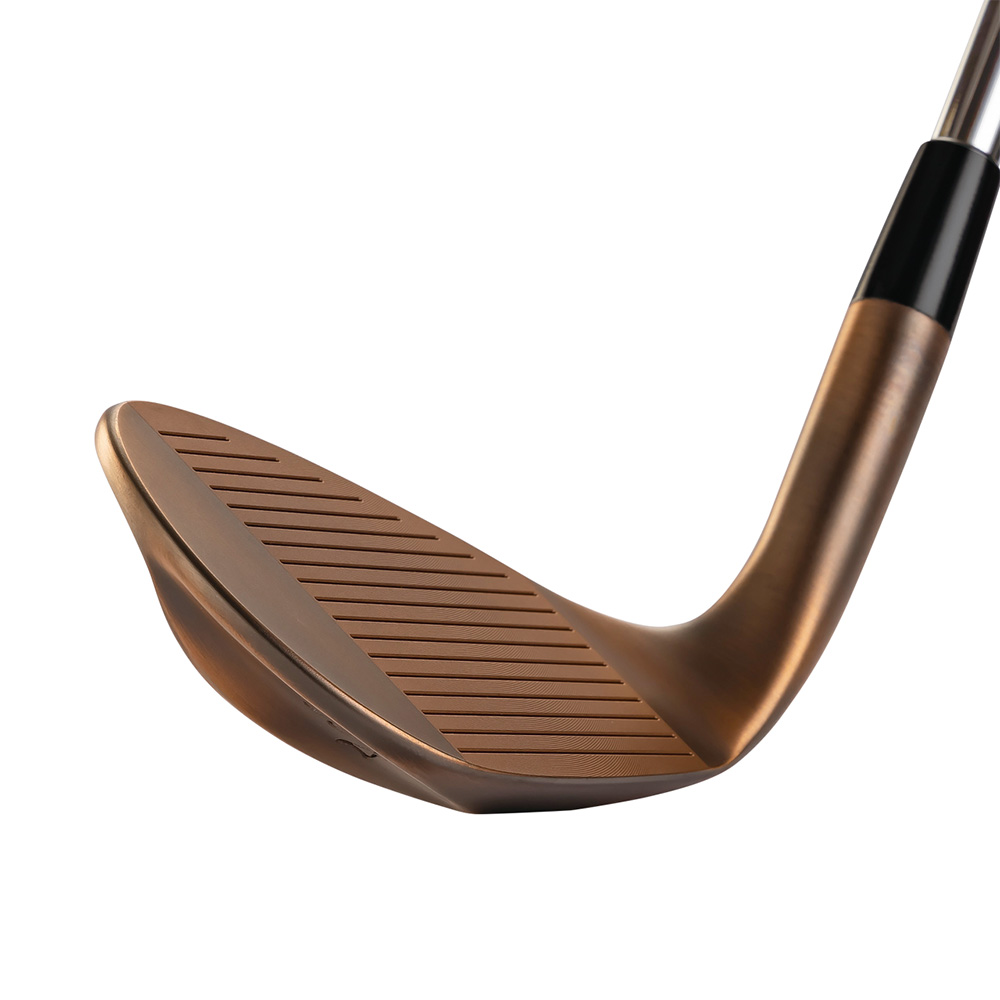 Kasco Dolphin Wedge DW-123 ,鐵身NSPRO 950GH neo銅頭挖起桿, , large