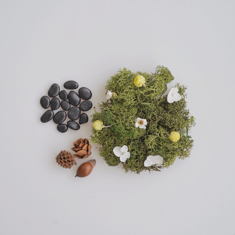 【拍拍】微型草原組-暖綠, , large