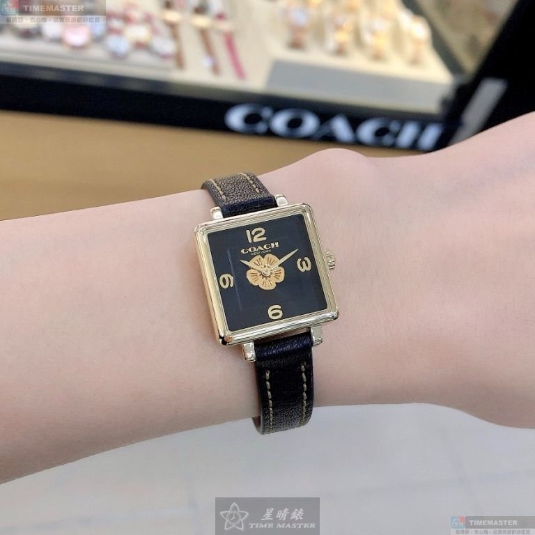 [TIMEMASTER] COACH watch, 22mm, CH00220, , large