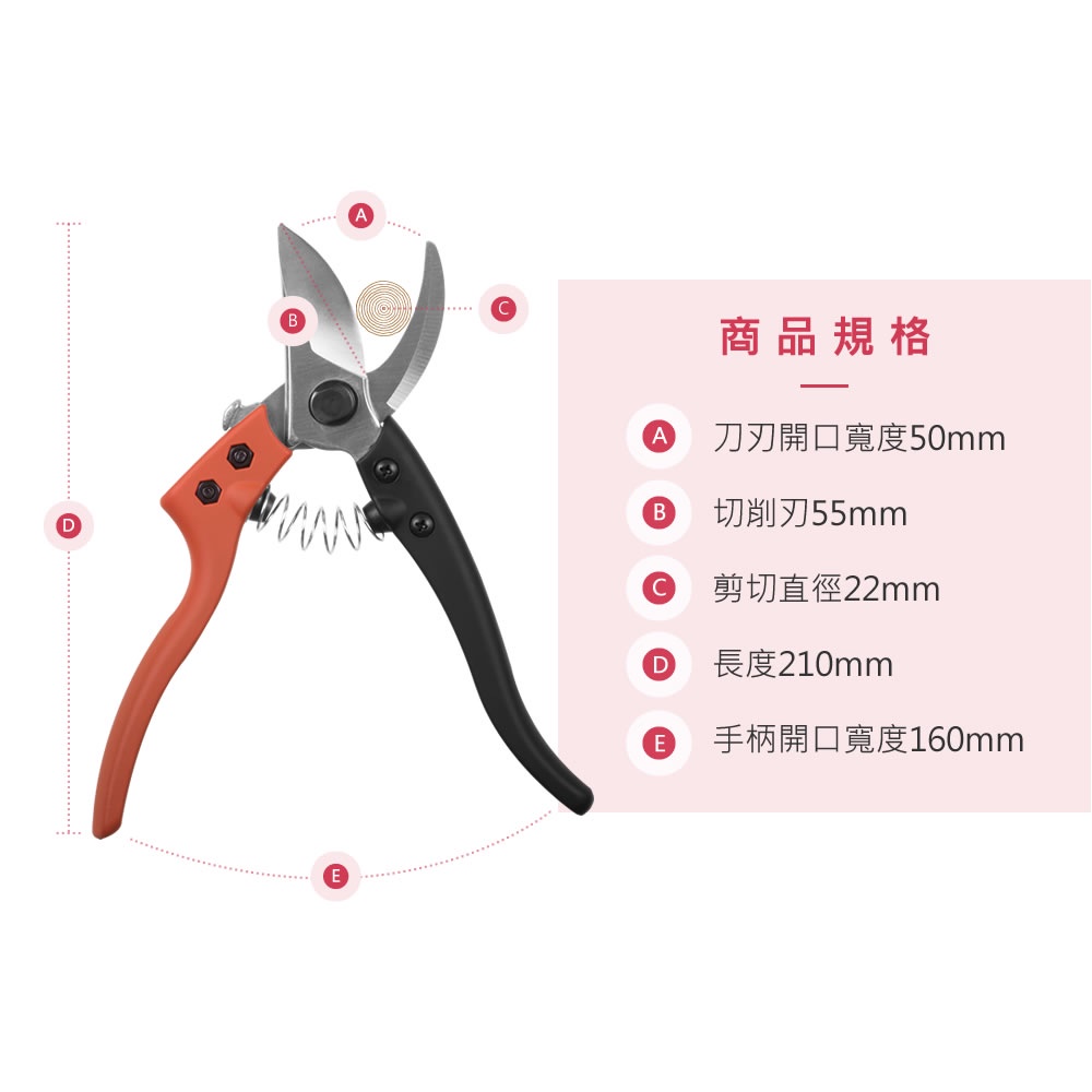 【HOKAS】S841鋁柄專業修枝剪 (園藝剪刀 花剪 剪定鋏 樹枝剪刀 修枝剪刀 樹剪 果樹剪 嫁接剪 採果剪), , large