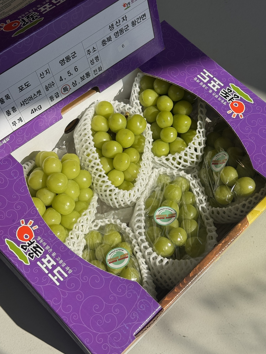  Korean Shine Muscat, , large