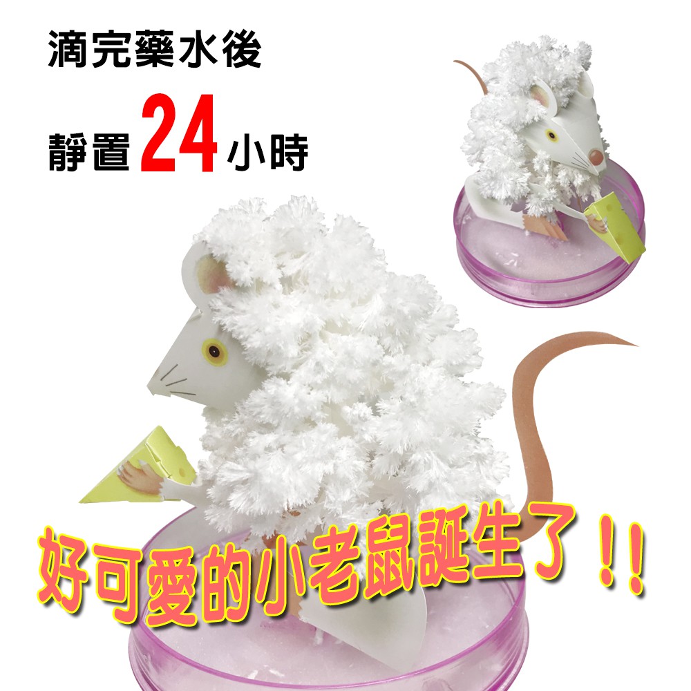 GS MALL 台灣製造 魔法成長錢鼠 魔法開花鼠 成長鼠 錢鼠 神奇錢鼠 紙花 開花鼠 裝飾樹 開花樹, , large