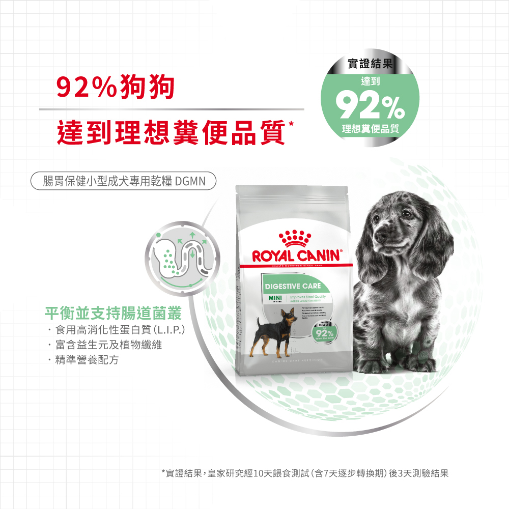 【Royal Canin法國皇家】腸胃保健小型成犬DGMN】腸胃保健小型成犬DGMN, , large