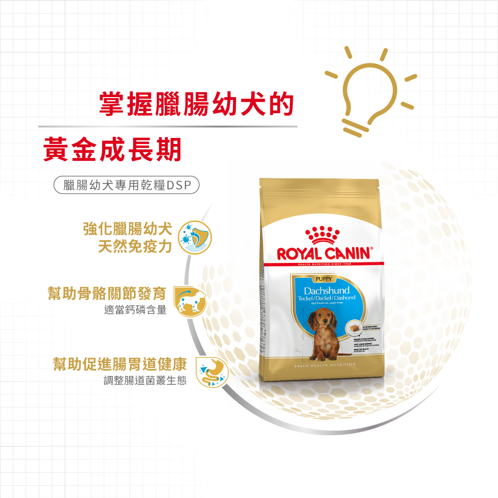 【Royal Canin法國皇家】臘腸幼犬DSP, , large