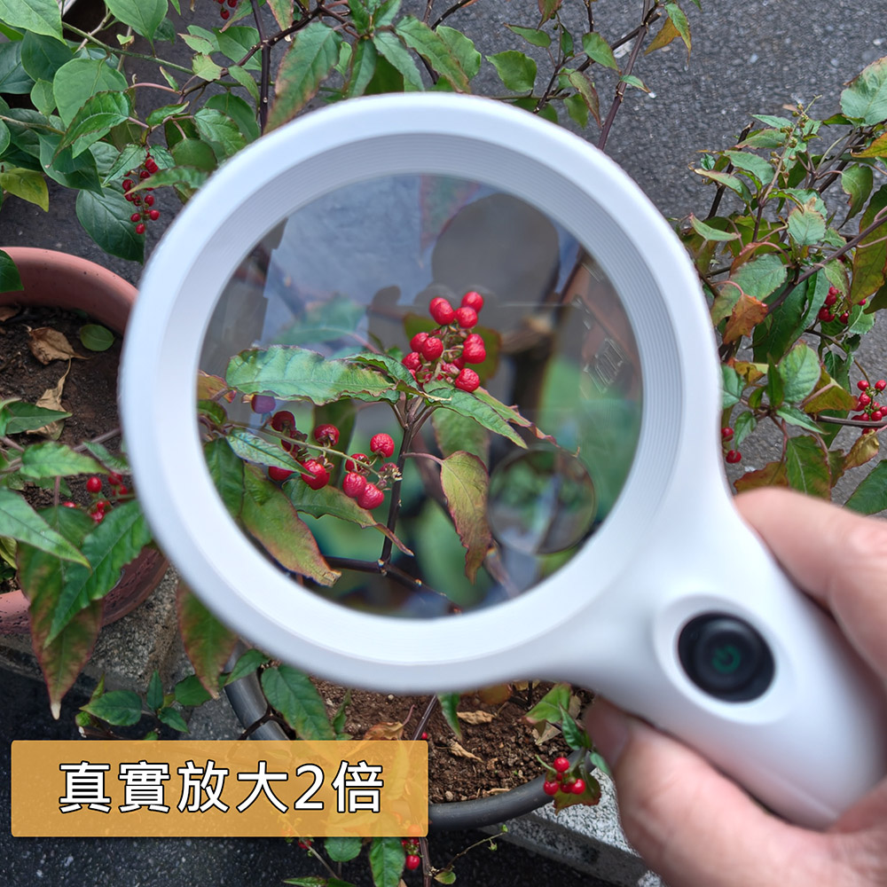 [Hamlet] 2x&4x/86mm Magnifier  N429, , large