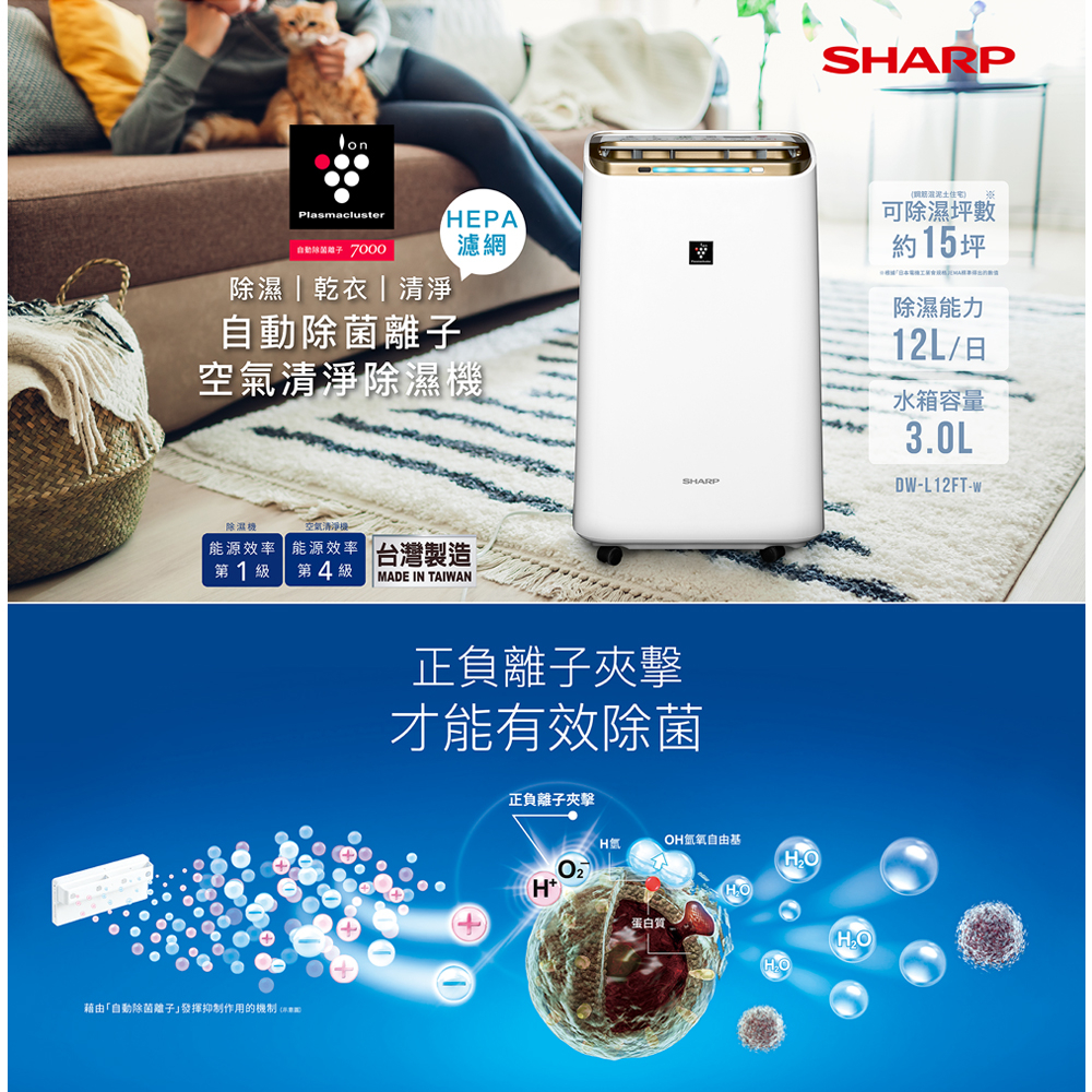 SHARP 夏普 12L 1級自動除菌離子清淨除濕機 DW-L12FT-W, , large