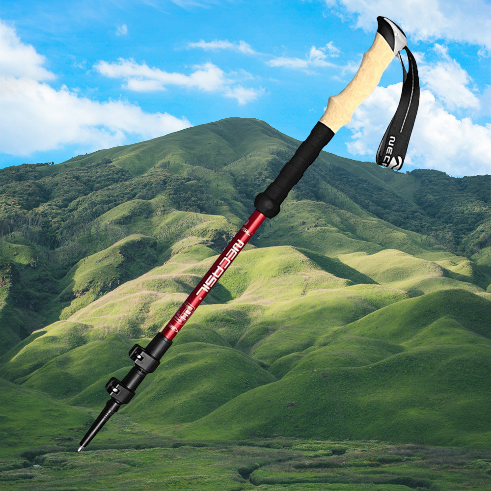 detachable-trekking-pole