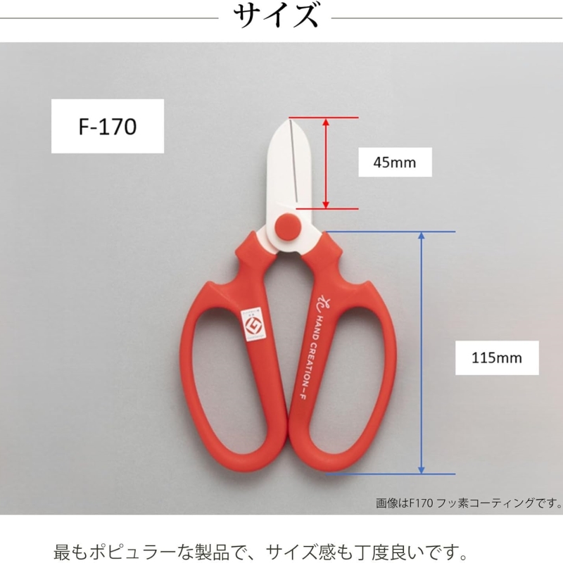 日本製坂源花藝剪刀F-170 白刃花剪 修枝剪 園藝剪刀 插花剪刀 花束生花鋏, , large