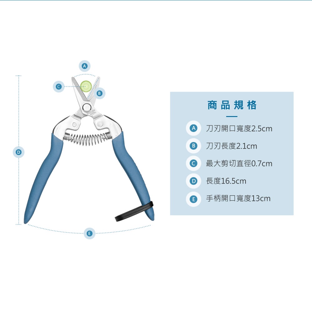 【HOKAS】S519短刃芽切剪  (觀葉植物 採果剪 番茄剪 盆栽剪刀 花藝剪刀  剪定鋏 園藝剪 修剪細枝剪), , large
