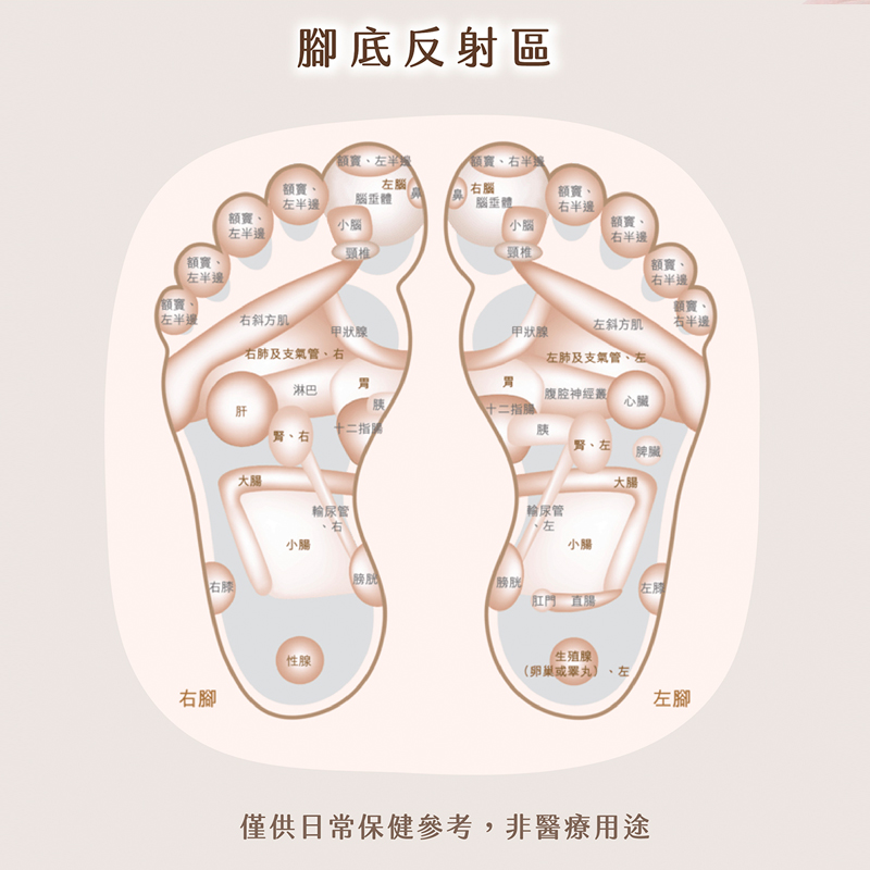 [e shoe store] Banjiajia foot massage roller ball, , large