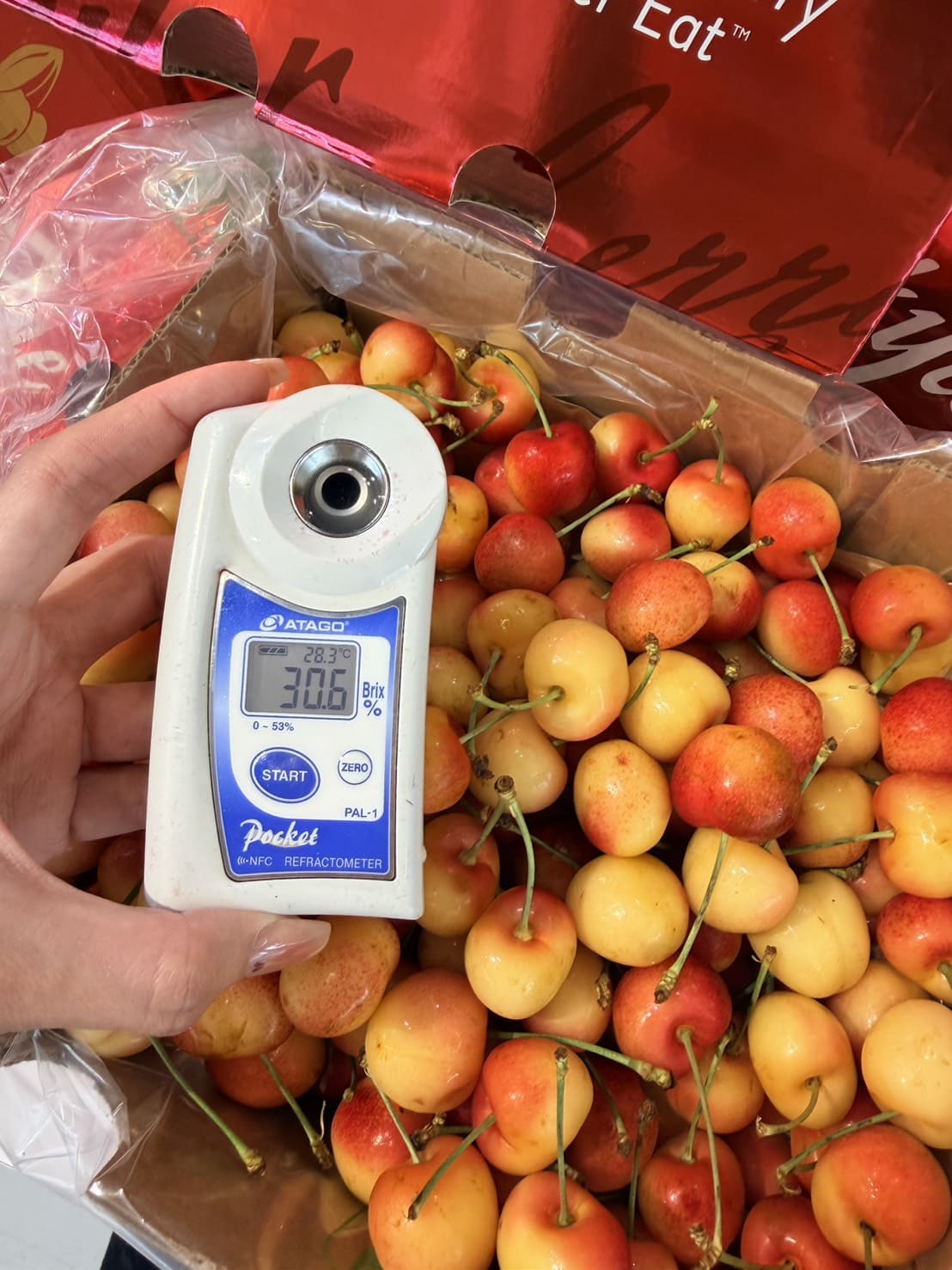 Skylar Rae® Caramel Strawberry White Cherries from Chile, , large