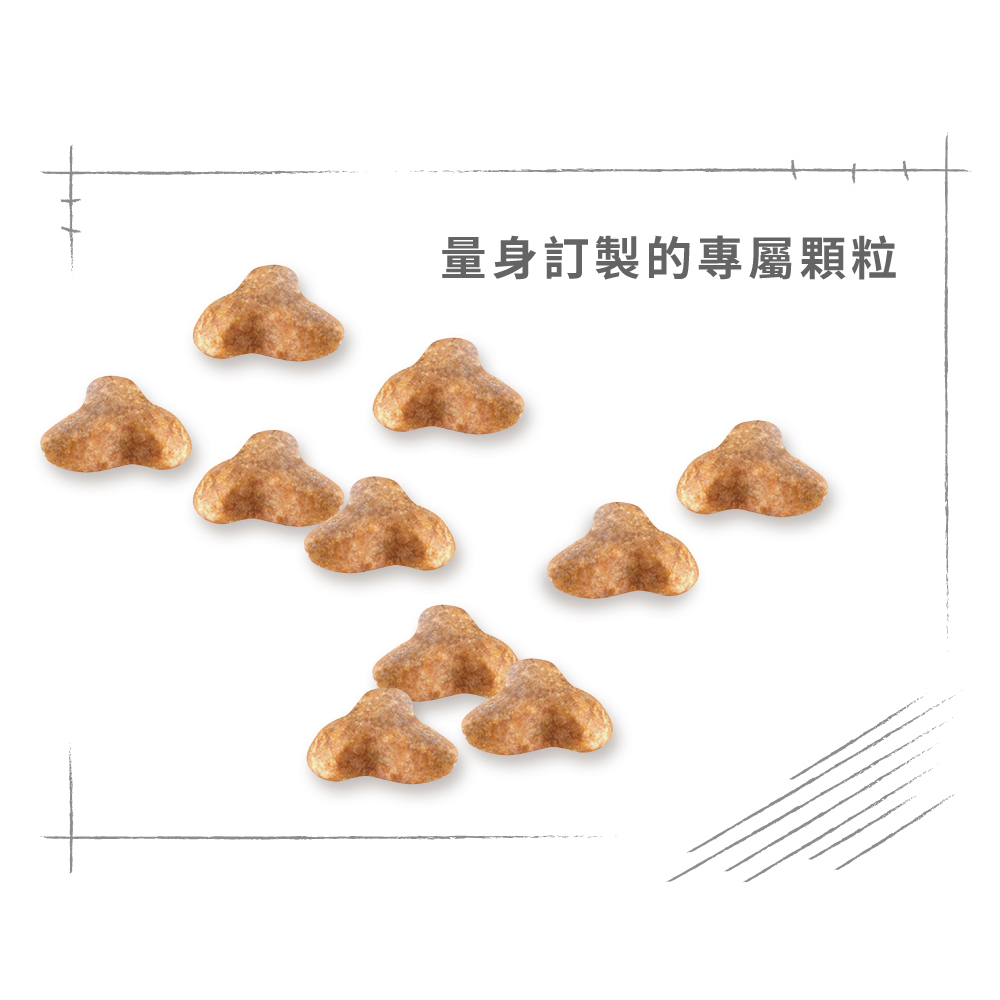 【Royal Canin法國皇家】巴戈成犬PUGA, , large