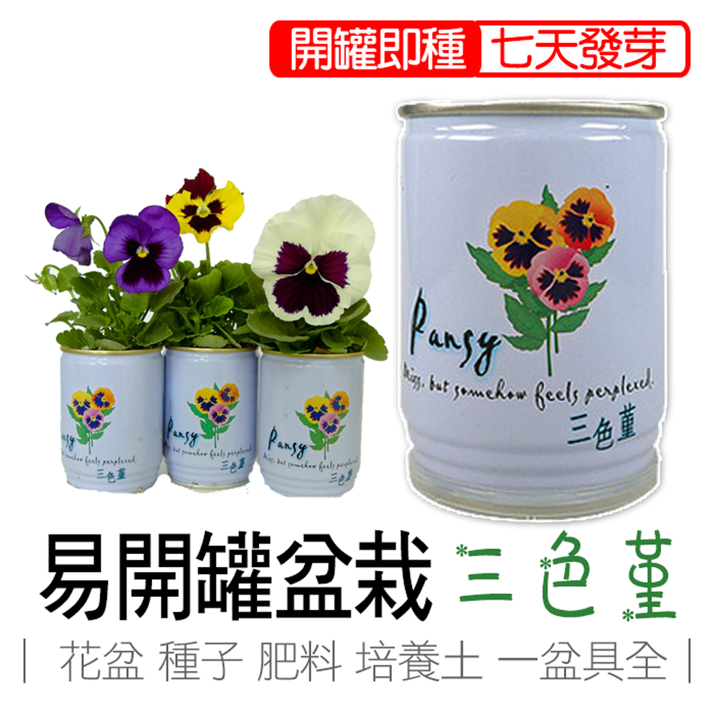 【心安購物】iPlant易開罐盆栽-三色堇