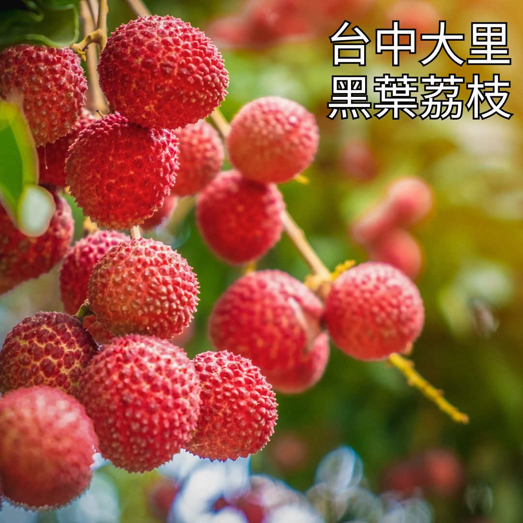 【台中大里農會】貴妃酵飲 荔枝發酵液(含酵素)360mlX6罐 黑葉荔枝發酵液 酵素飲, , large