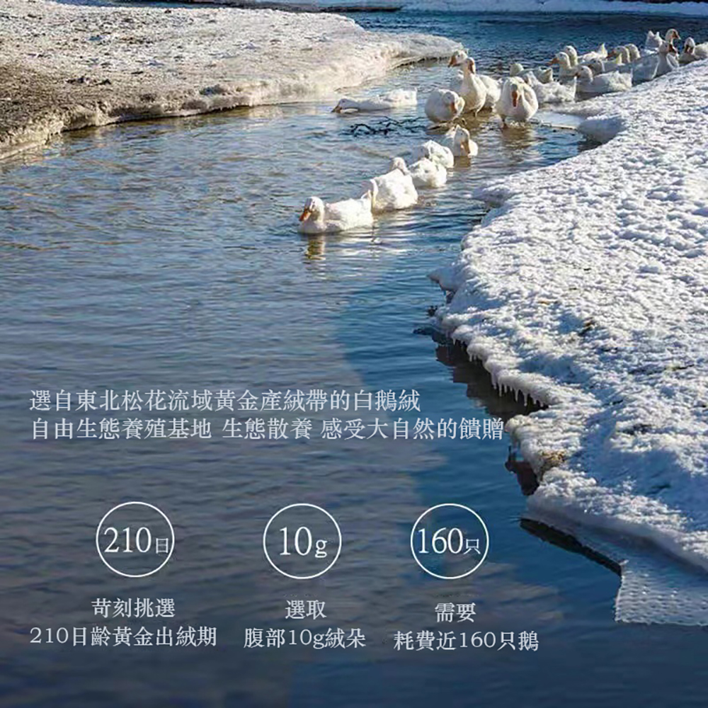 Hilton Light Grey Goose Down Comforter for Winter (180*220CM), , large