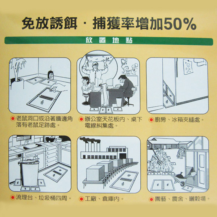 黏鼠寶奶酪香黏鼠板-小-2入-6組, , large