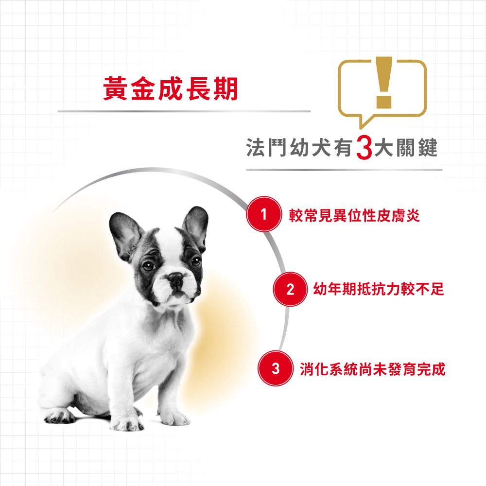 【Royal Canin法國皇家】法國鬥牛幼犬FBDP, , large