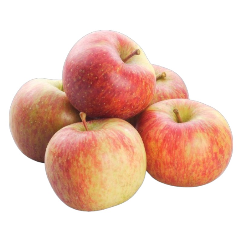 Lishan Honey Apple, , large