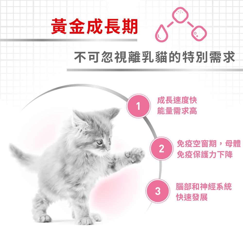 【Royal Canin法國皇家】離乳貓與母貓BC34, , large