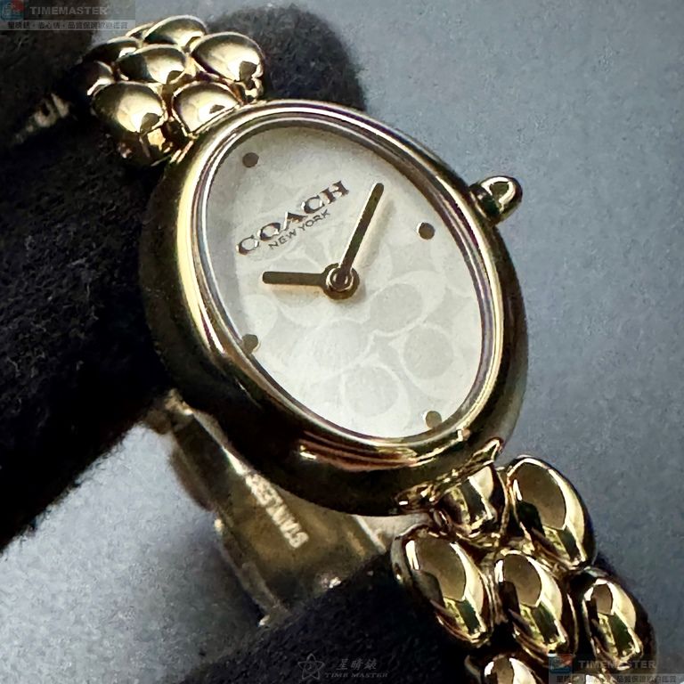 [TIMEMASTER] COACH watch, 22mm28mm, CH00262, , large