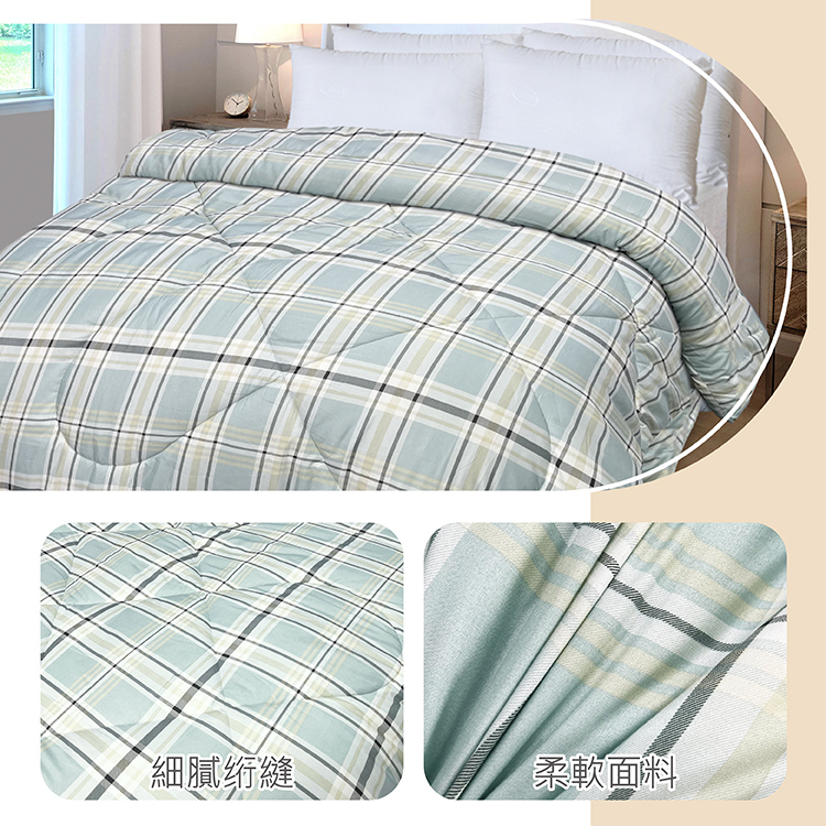 INDIAN 可水洗印花雙人新科技抗菌羽絲絨被/棉被胎-布拉格, , large