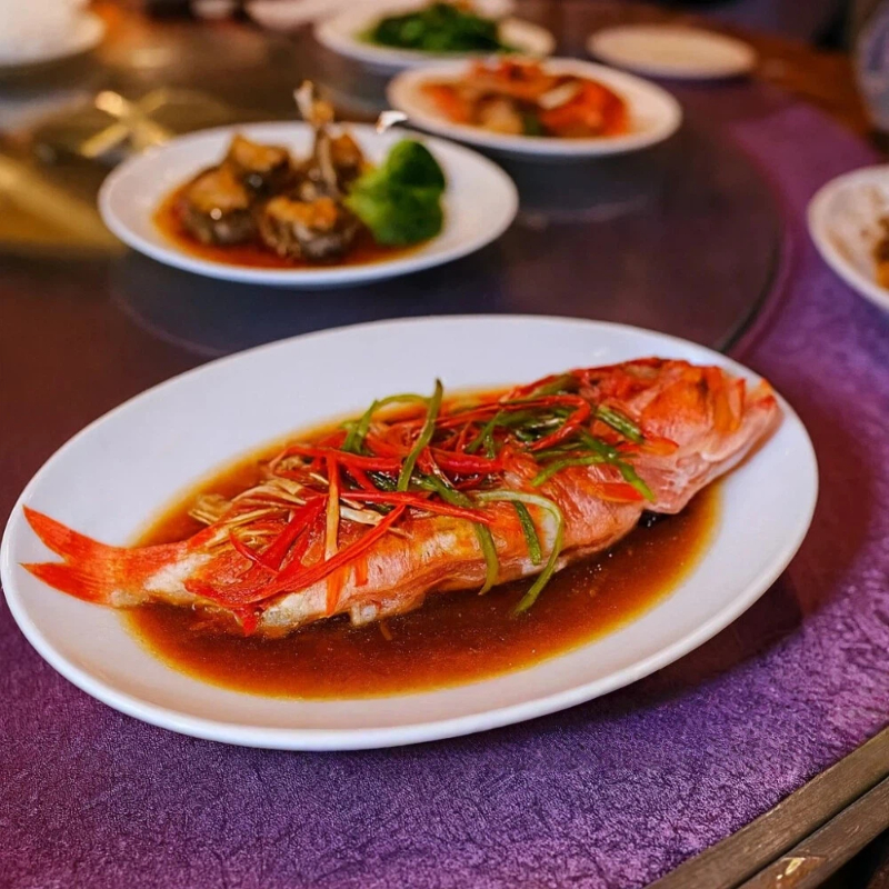 Red striped grouper, , large