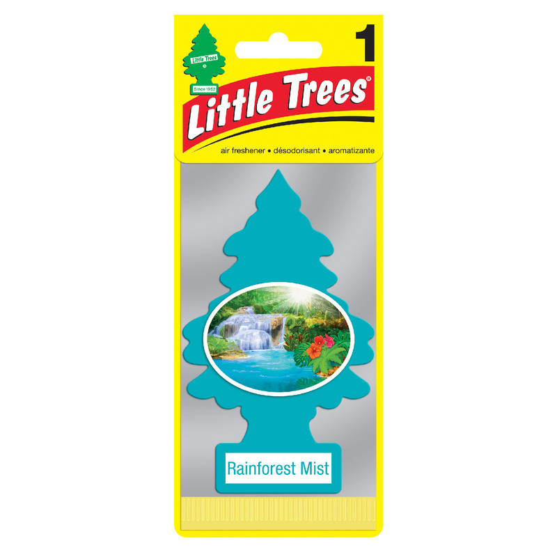 Little Tree, 迷霧雨林, large