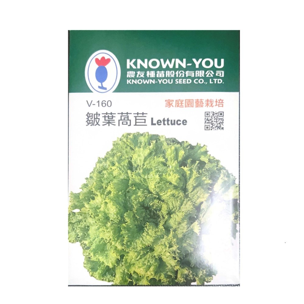 NongYou Curly Leaf Lettuce &ndash; Vegetable Seeds, , large