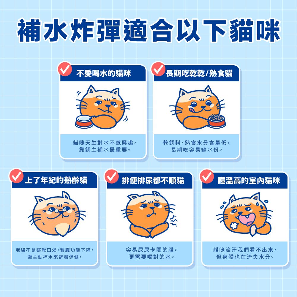 【拉拉寵物小舖】PAW PAW LAND 肉球世界 補水炸彈 主食餐包 貓餐包, , large