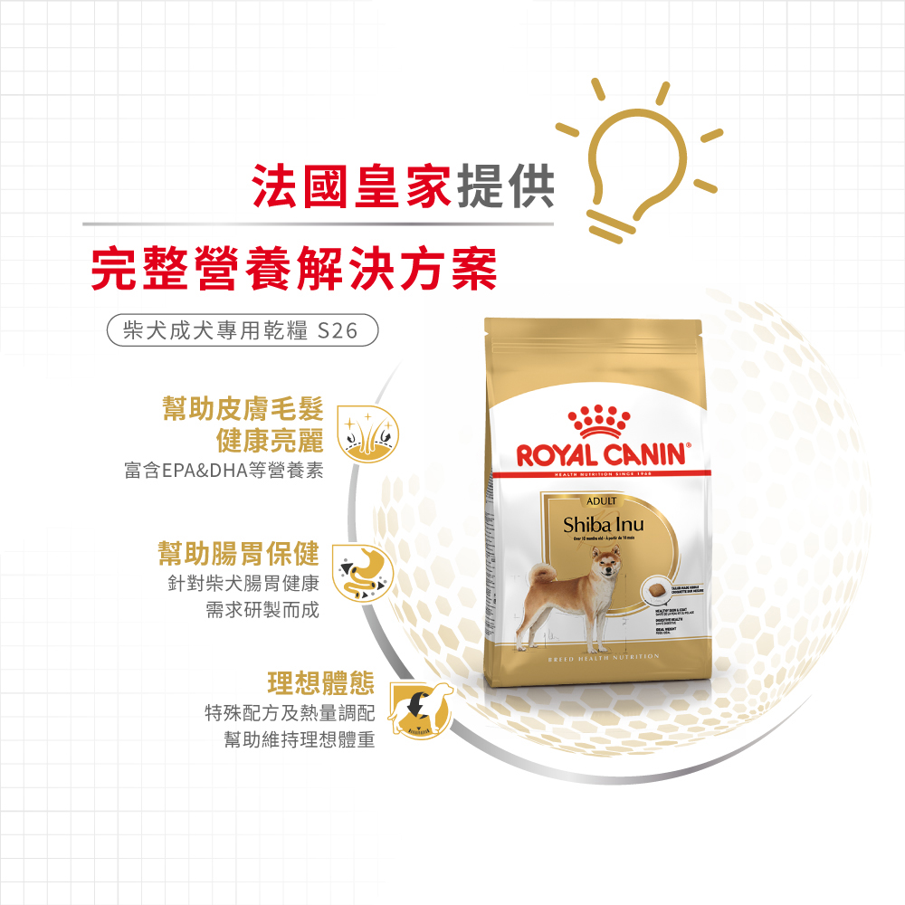 【Royal Canin法國皇家】柴犬成犬S26, , large
