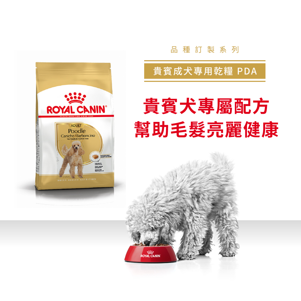 【Royal Canin法國皇家】貴賓成犬PDA, , large