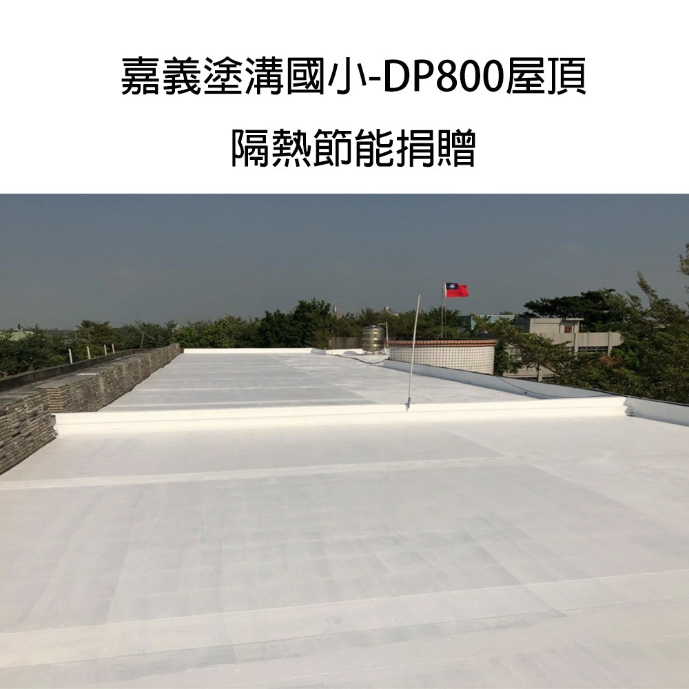 [樂施達]佐禾 邁克漏 水性防水抗熱塗料（DP800）, , large