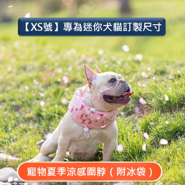 【寵愛生活本舖】-XS號-寵物涼感圍脖 專為迷你寵物訂製款 寵物降溫 XS號造型涼感圍脖 寵物冰圍脖, , large