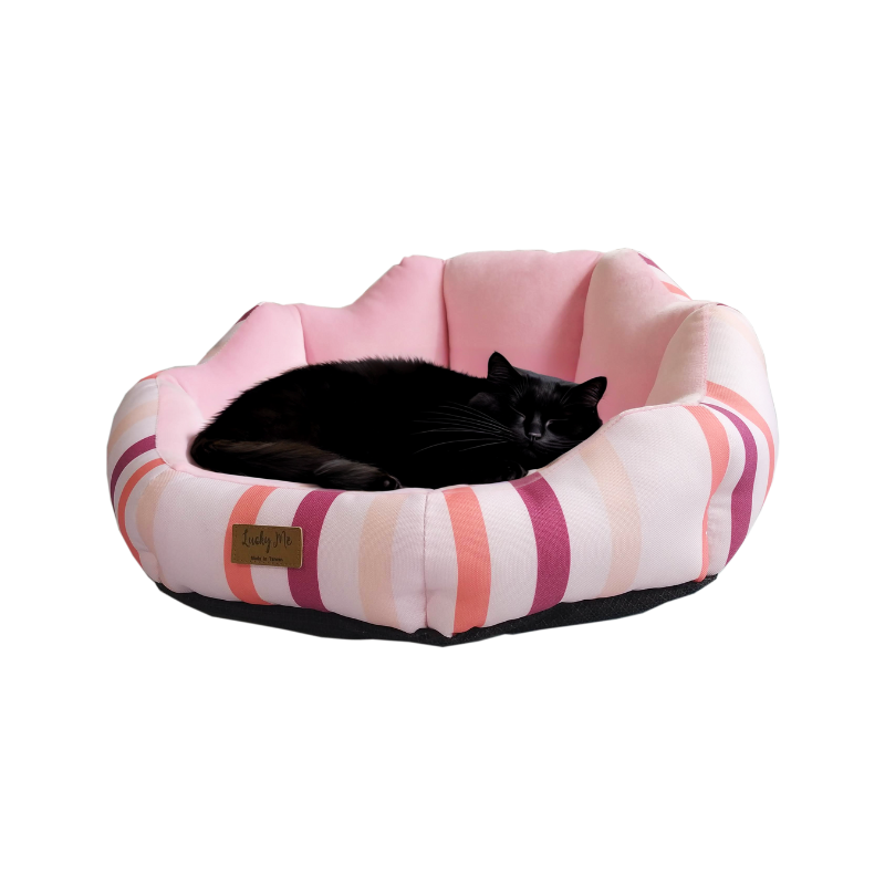 Lucky Me for pet, , large