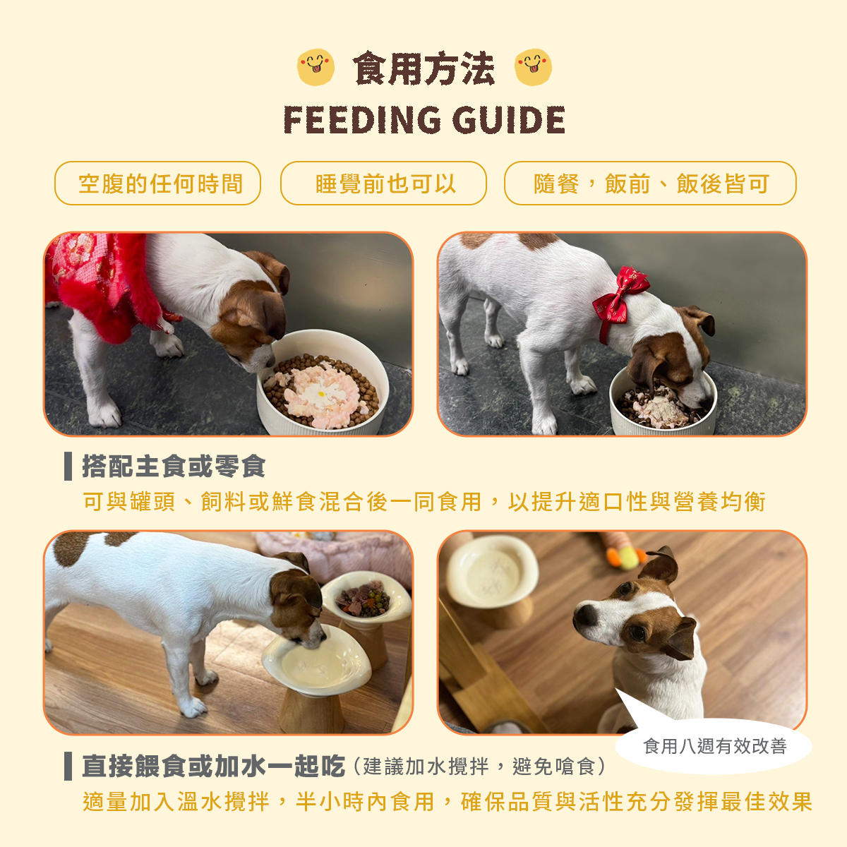 ［營活著］＜全面升級版＞ -【犬貓多國專利】皮膚＋腸胃益生菌（日本專利神經醯胺強化配方）, , large