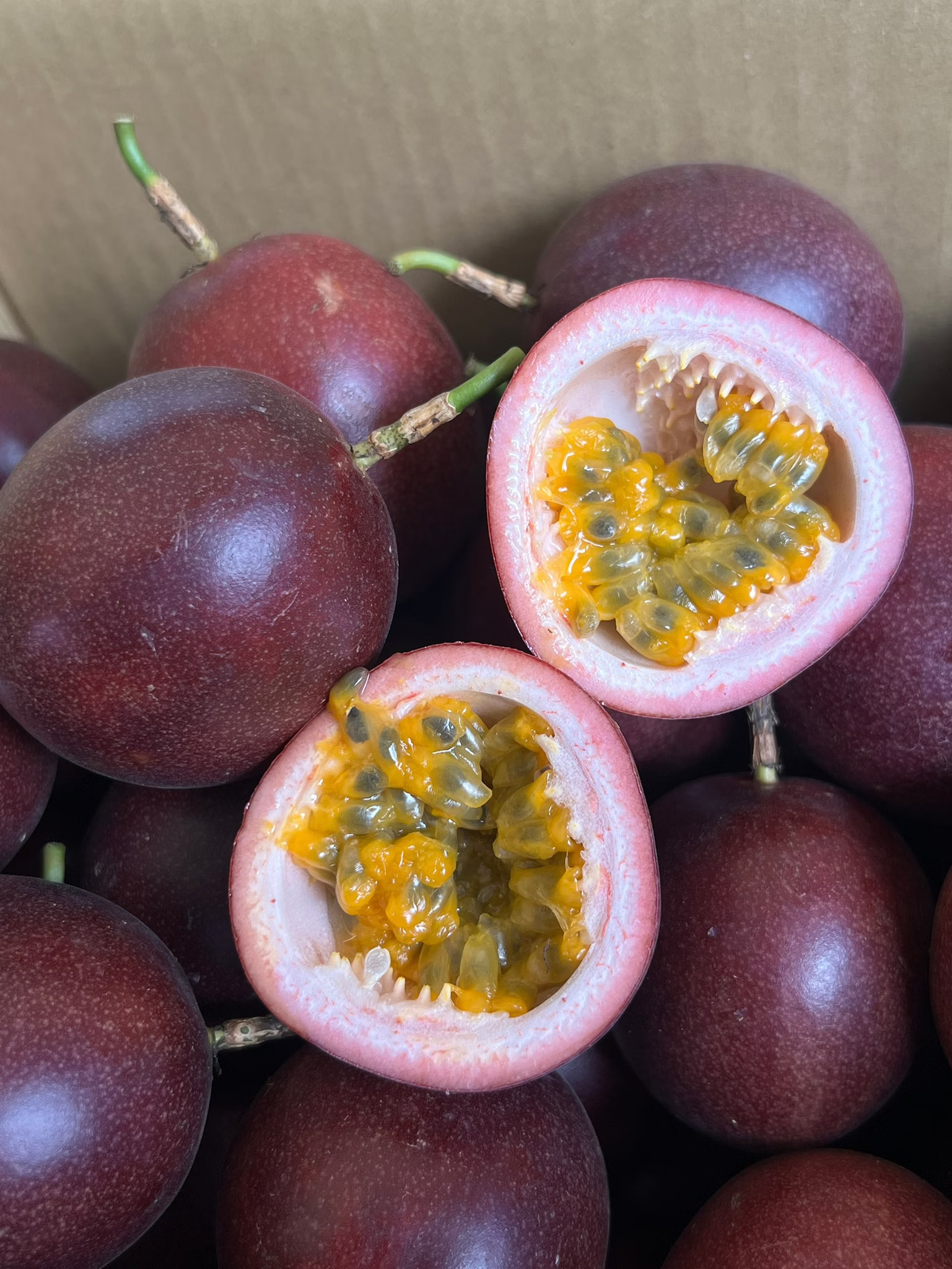 Passion Fruit, , large