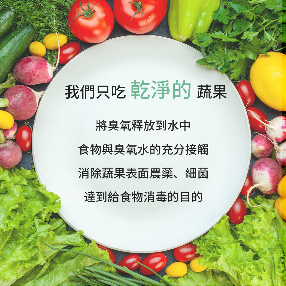 [寰諦]多功能蔬果清洗機, , large