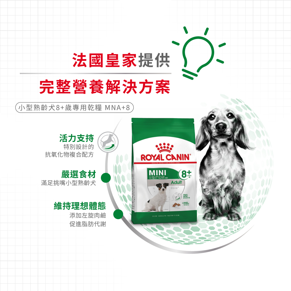 Royal Canin法國皇家 皇家小型熟齡犬8+歲齡MNA+8, , large