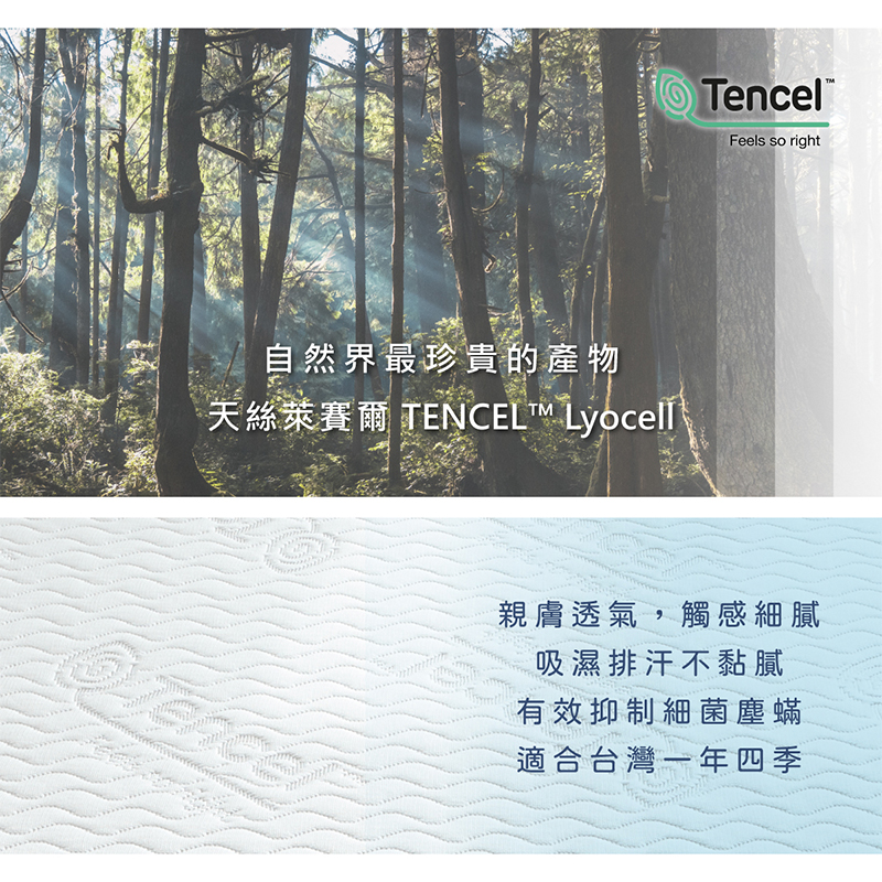 Tencel memory foam mattress, , large