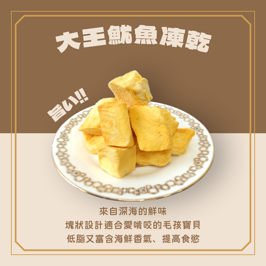 umami_squid, , large