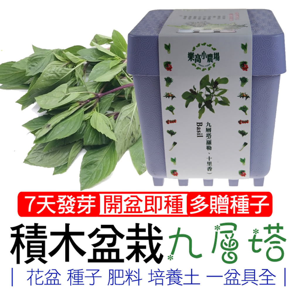 【心安購物】iPlant積木盆栽-九層塔, , large