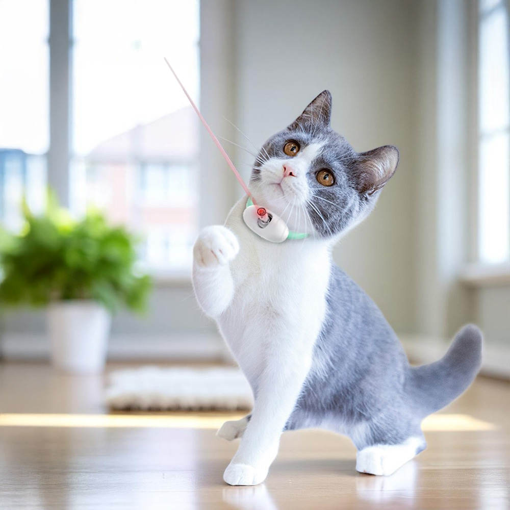 Laser Cat Collar, , large
