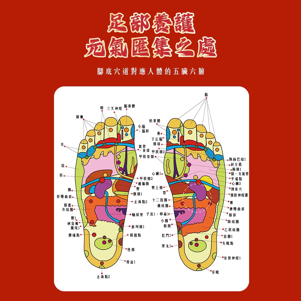 【禾統】南京同仁堂生薑艾草足貼／50 片/盒／1盒(生薑艾草 艾草竹醋 足貼 北京同仁堂 南京同仁堂 足部貼布 足底貼布), , large