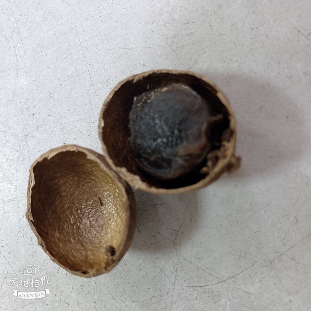 [皇廷] 手工碳培龍眼乾600g（帶殼）, , large