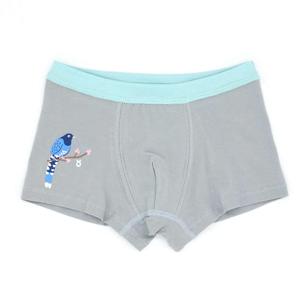 minihope Boys underwear, , large