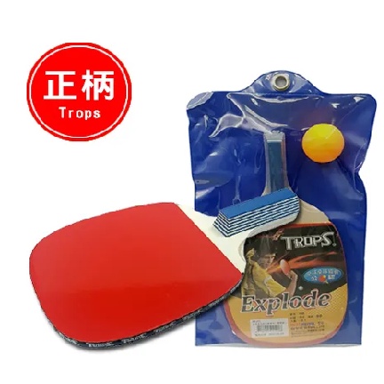 Success成功 44101 正手柄五夾反膠桌球拍(練習級), , large