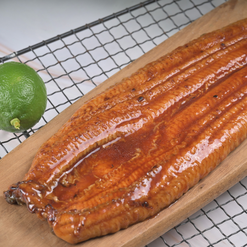 Eel, , large