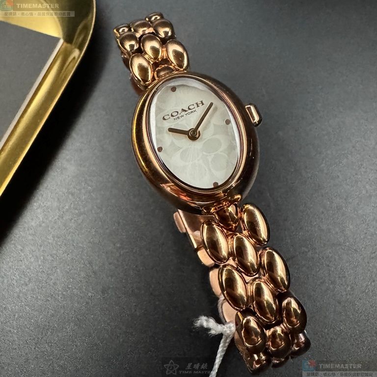 [TIMEMASTER] COACH watch, 22mm28mm, CH00267, , large