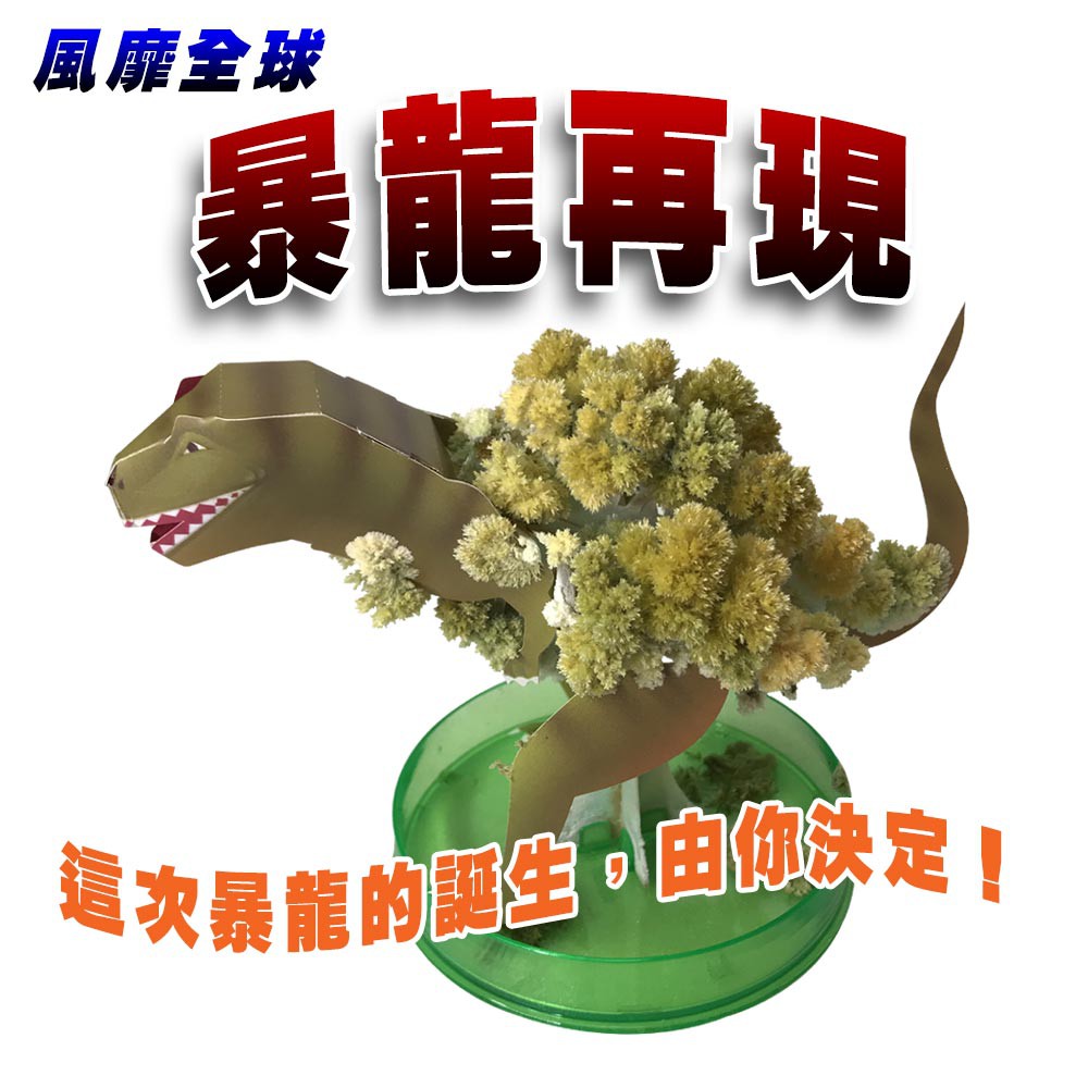 金德恩 GS MALL 台灣製造 魔法開花成長恐龍樹 開花恐龍樹 恐龍樹 裝飾恐龍 開花樹 暴龍 神奇開花 成長樹 居家裝飾, , large
