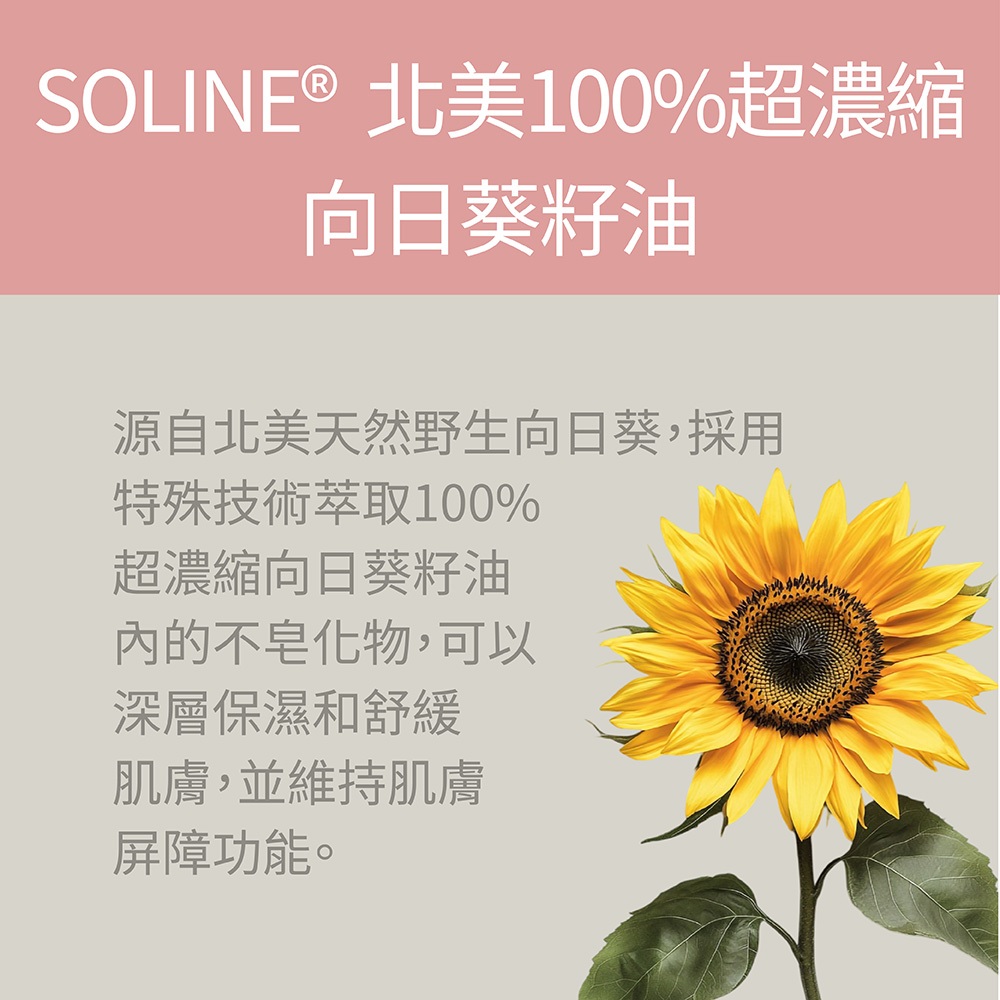 【FJ豐傑生醫】玫瑰瞬效活膚膠囊-50顆/瓶(緊緻肌膚ｘ啟動青春能量), , large